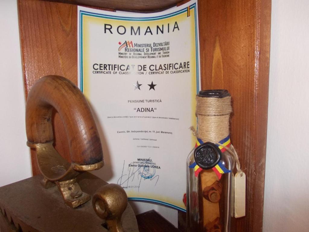 Pensiunea Adina Cavnic Zewnętrze zdjęcie